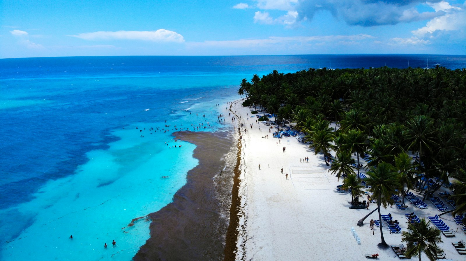 Vista aérea de la costa de Punta Cana con palmeras y mar turquesa
