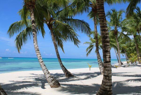 Playa de arena blanca con palmeras en Punta Cana, República Dominicana
