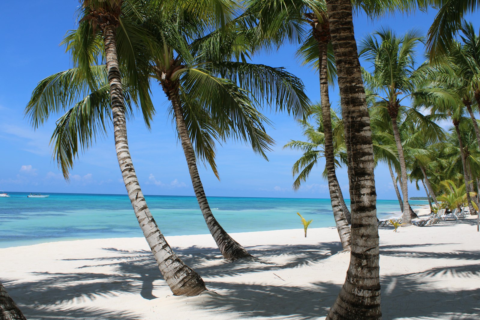 Punta Cana en 8 días: una semana all inclusive frente al Caribe