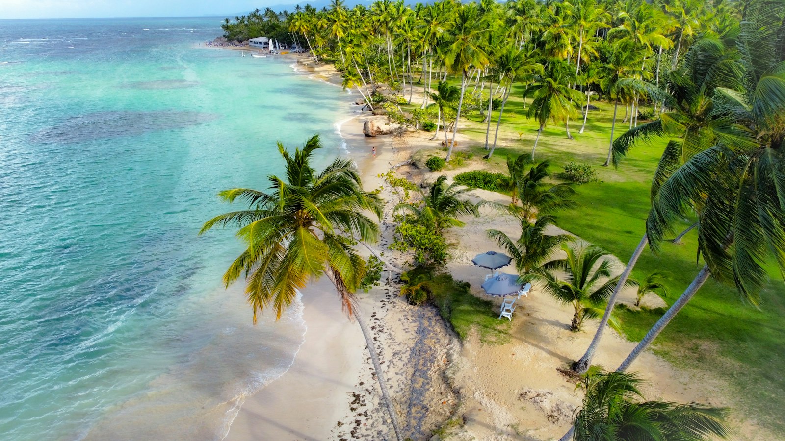 Playa con palmeras en la península de Samaná, República Dominicana